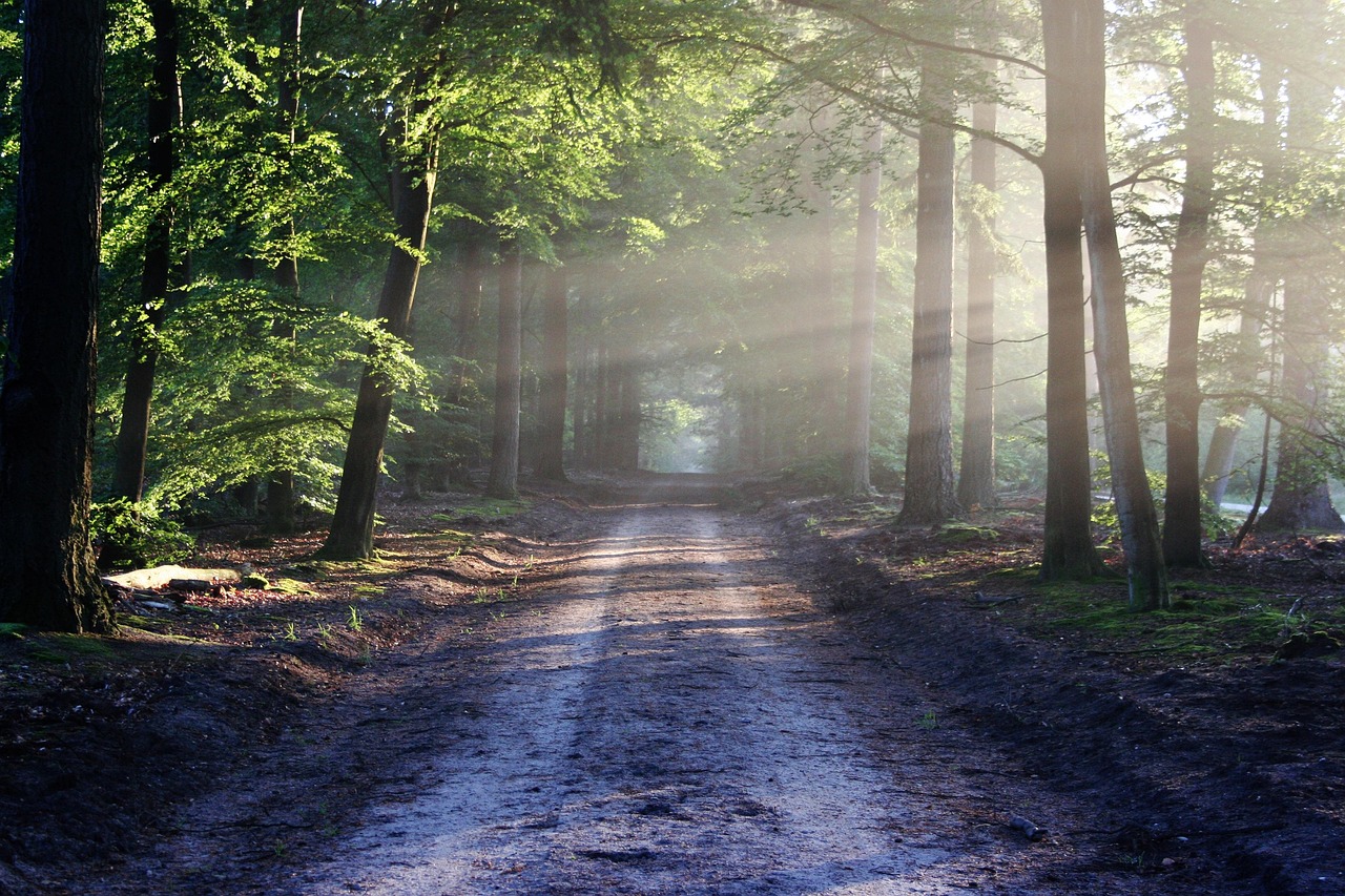 What Is Repentance in the Bible? True Turning, Not Just Regret