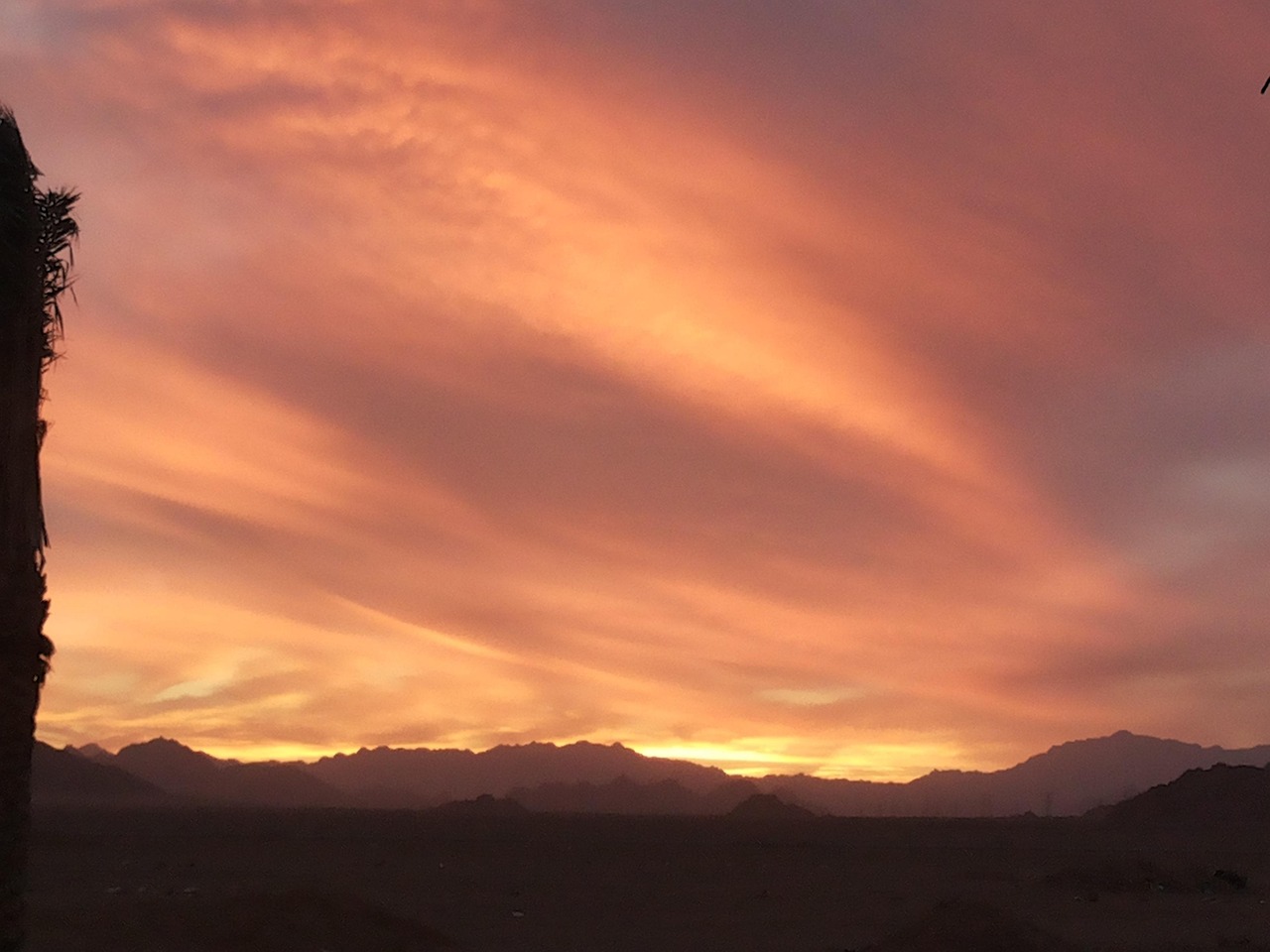 Who Was Moses in the Bible? His Life, Calling, and Legacy