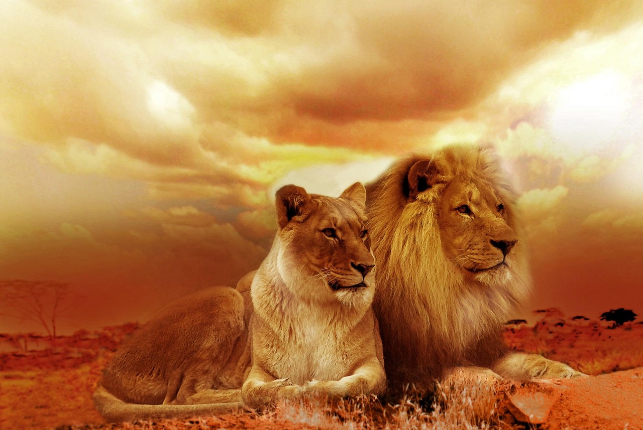 Who Was Daniel in the Bible? Courage, Prayer, and the Lions' Den