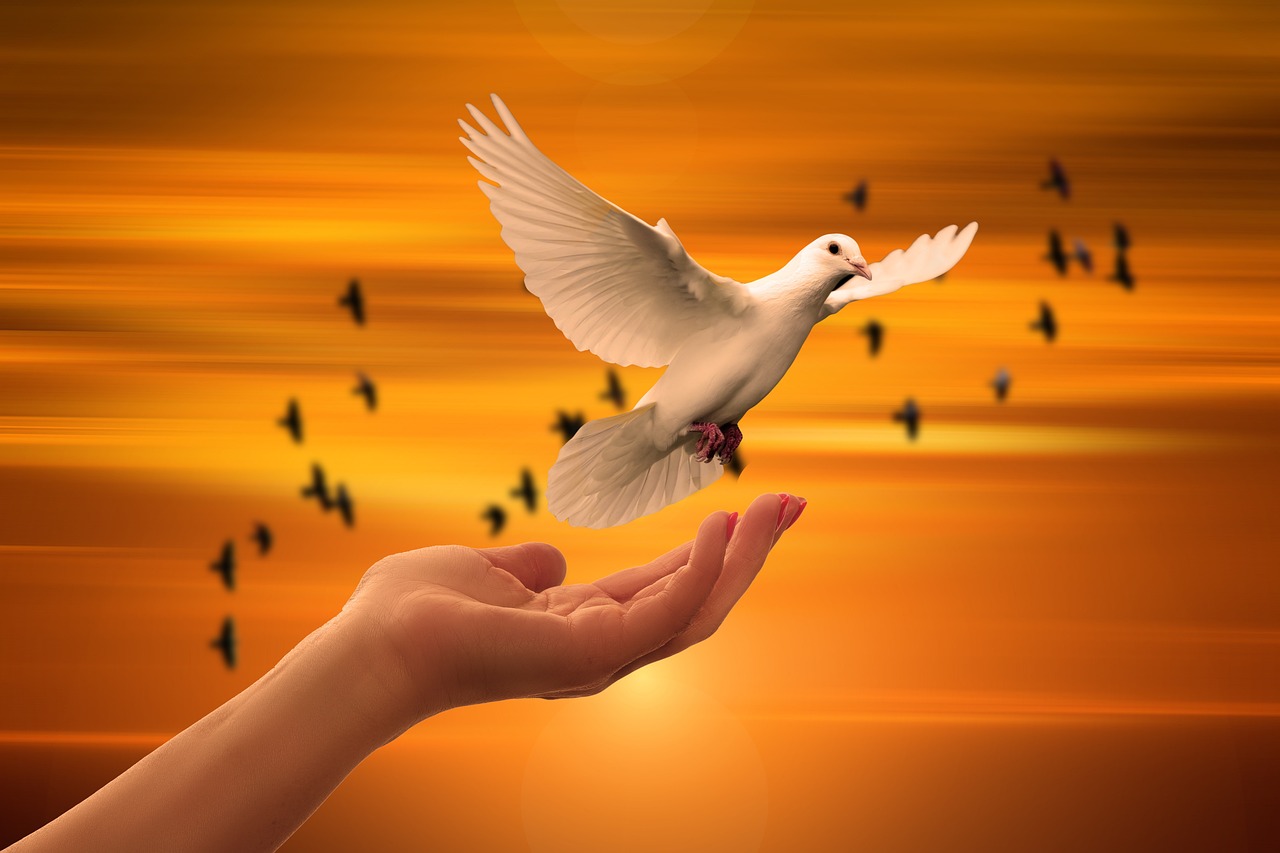 Who Is the Holy Spirit? A Biblical Explanation for Every Christian