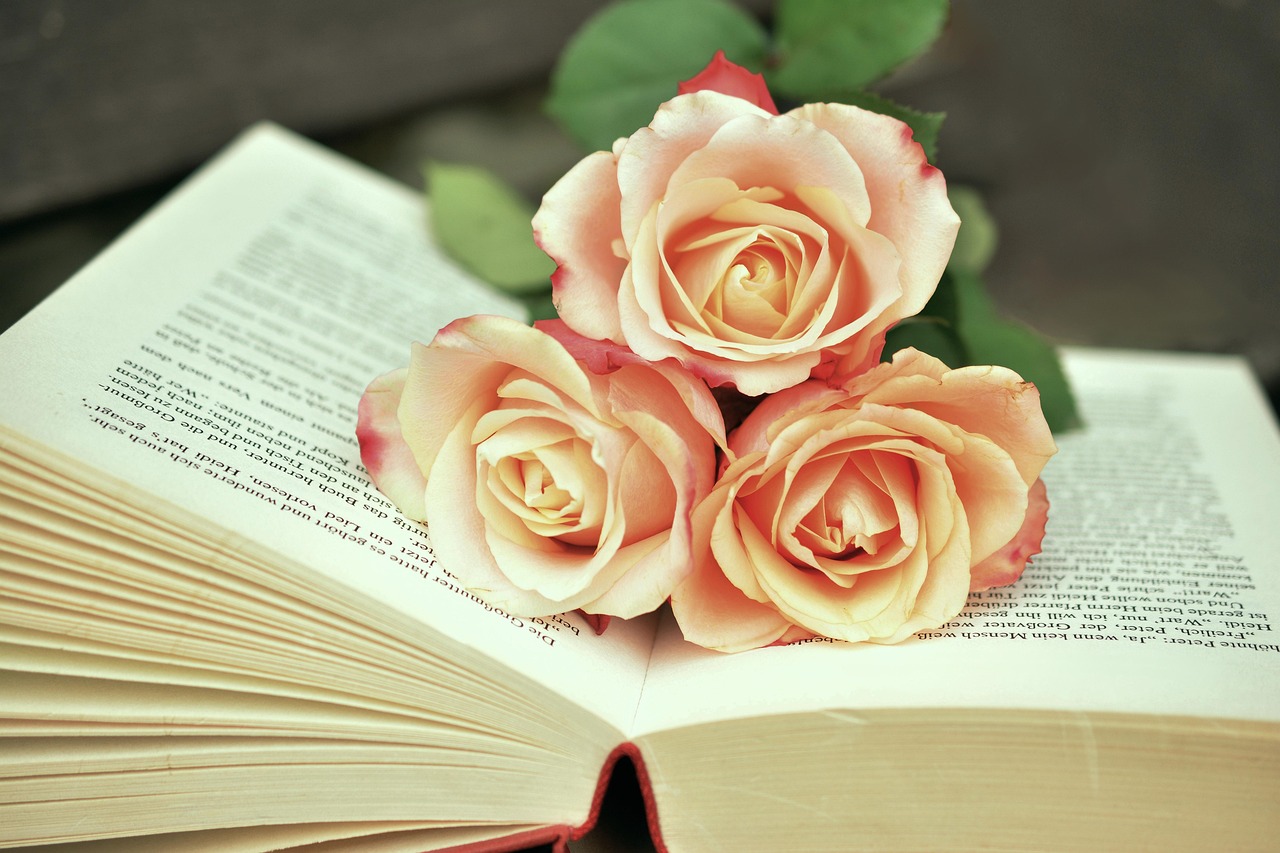 The Book of Revelation Explained: A Beginner's Study Guide