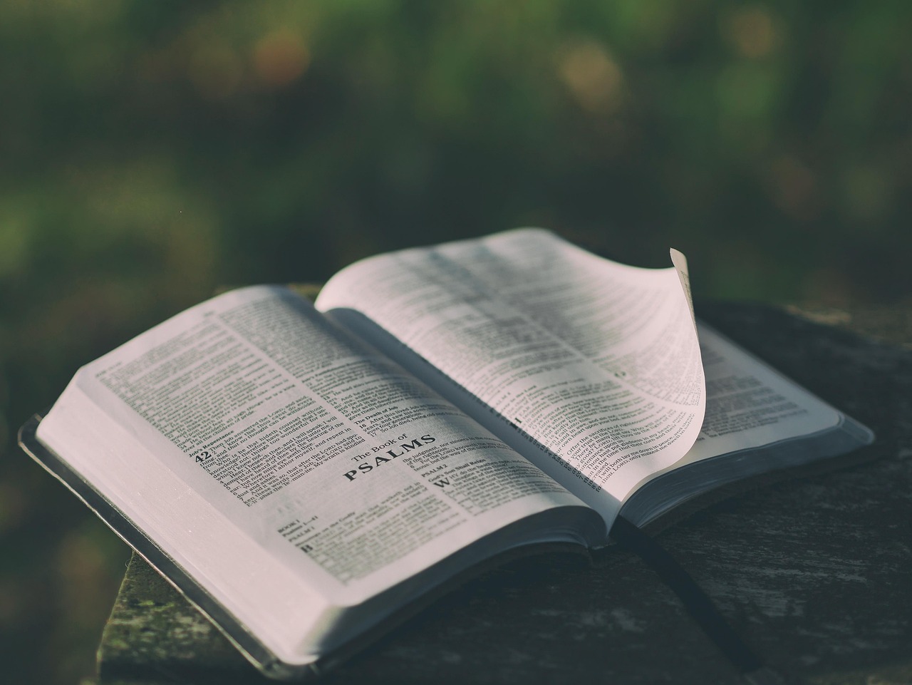 The Book of Proverbs: A Practical Guide to Biblical Wisdom